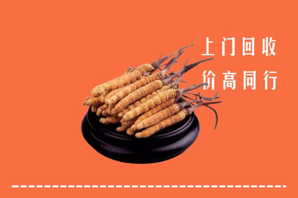 高价求购：巢湖回收散虫草