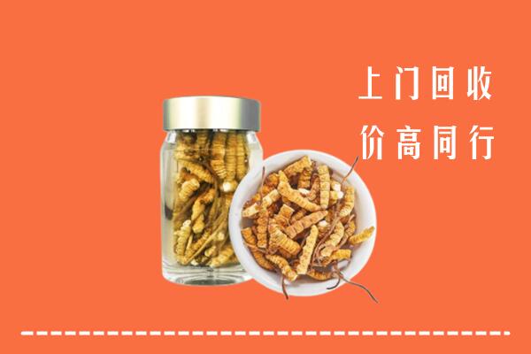 巢湖回收冬虫夏草